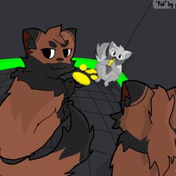 Pet